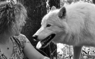 Bienvenue chez Wolf Project!