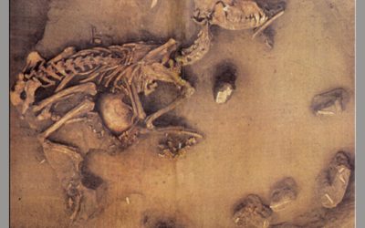 Le Gardien : un loup enterré avec un homme il y a 8000 ans